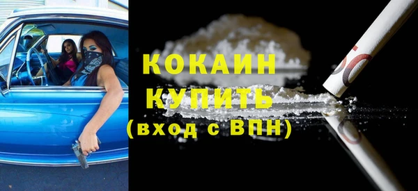 твердый Дмитриев