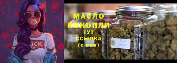 амф Дмитров