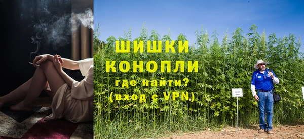 mix Ельня