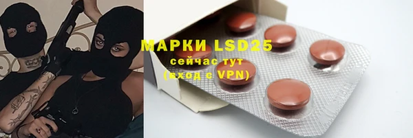 соль ск Елабуга