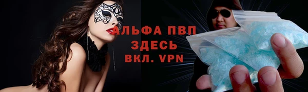 амф Дмитров