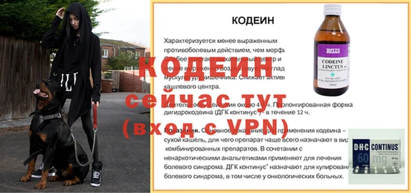 твердый Дмитриев