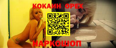 индика Камышлов