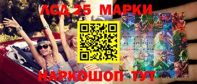 индика Камышлов