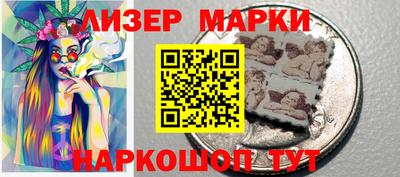 индика Камышлов