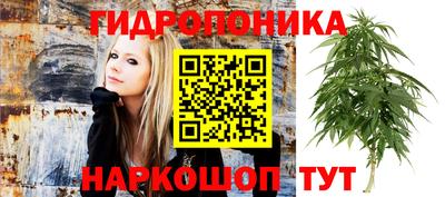 индика Балашиха