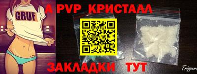 индика Камышлов