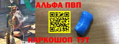 индика Камышлов