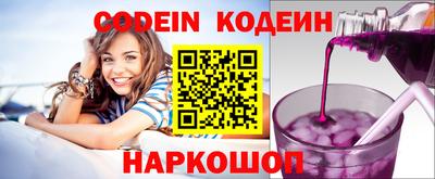 индика Камышлов