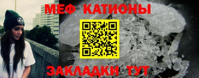 индика Камышлов