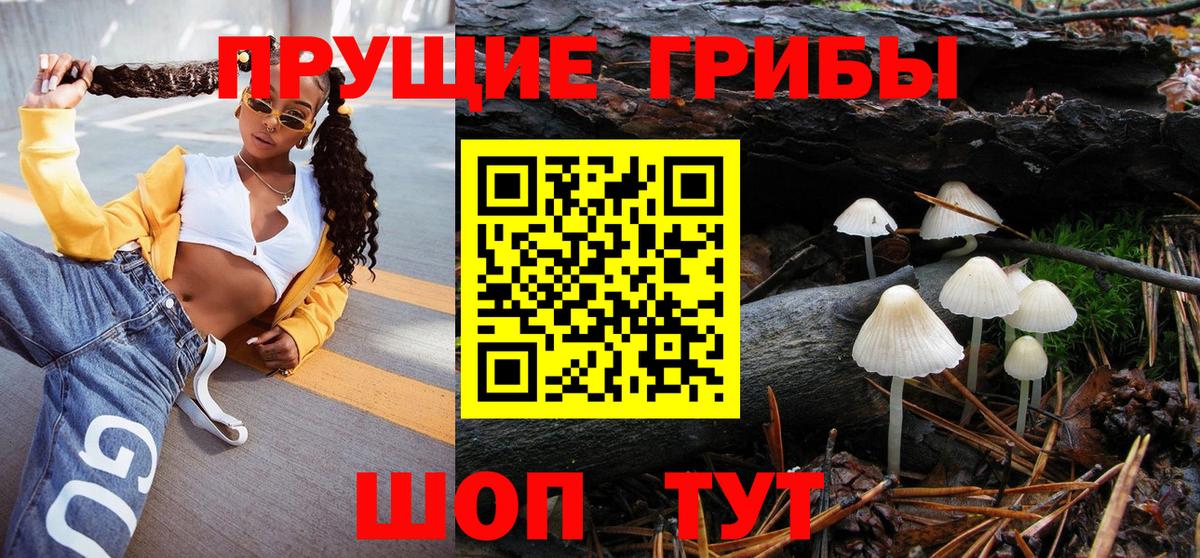Галлюциногенные грибы GOLDEN TEACHER Спасск-Дальний