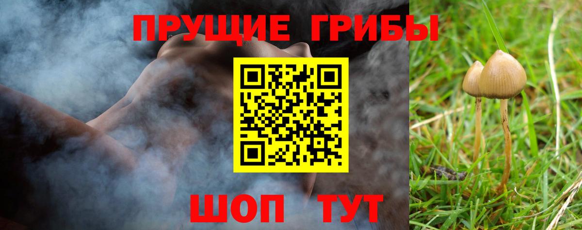 Псилоцибиновые грибы Cubensis  Спасск-Дальний  Псилоцибиновые грибы Magic Shrooms 